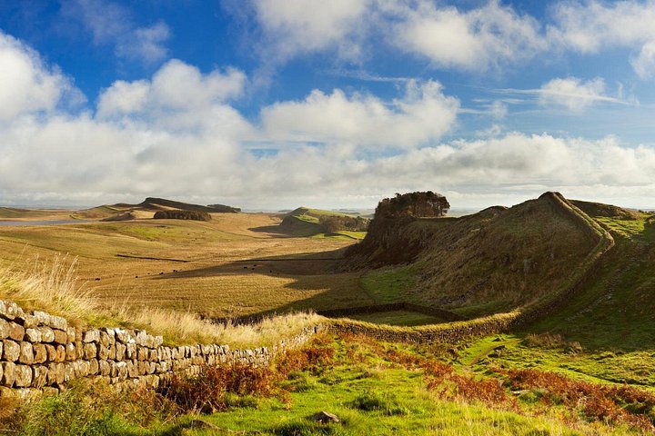 5 Best Coach Tour Companies in Newcastle - Explore outings for your sightseeing plans